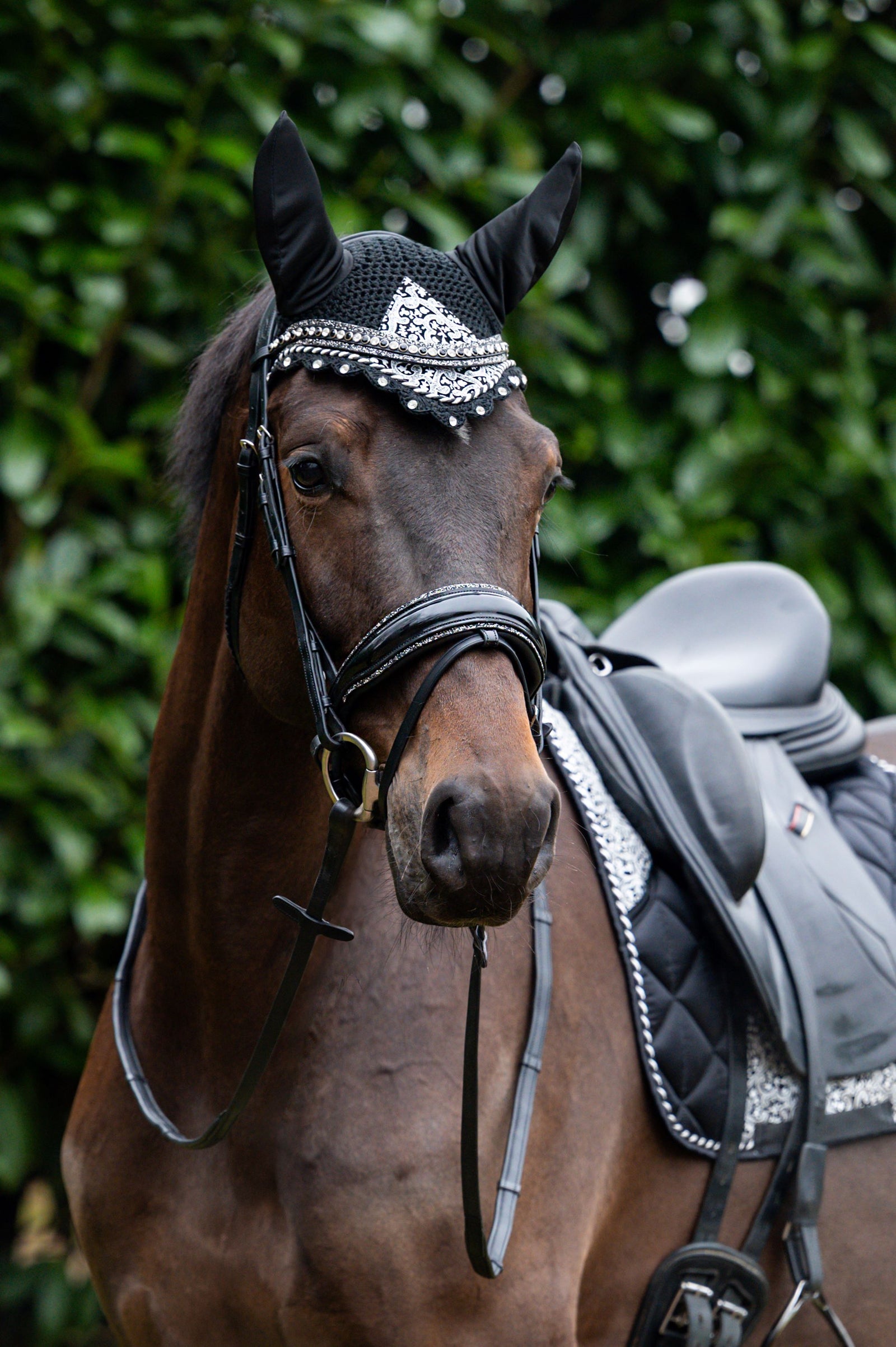 Showtime Bonete para Orejas Rio Negro