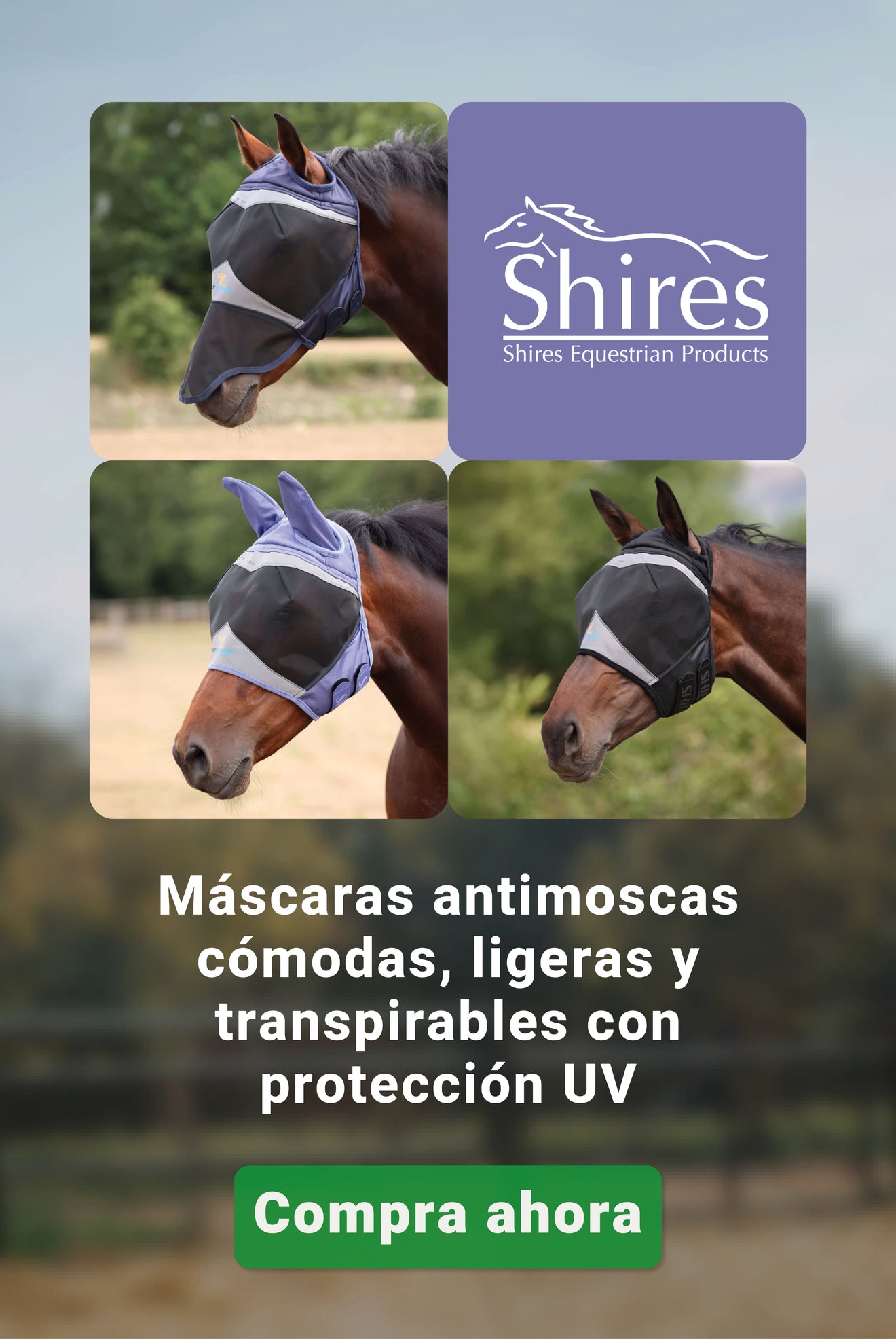 Shires vliegenbescherming