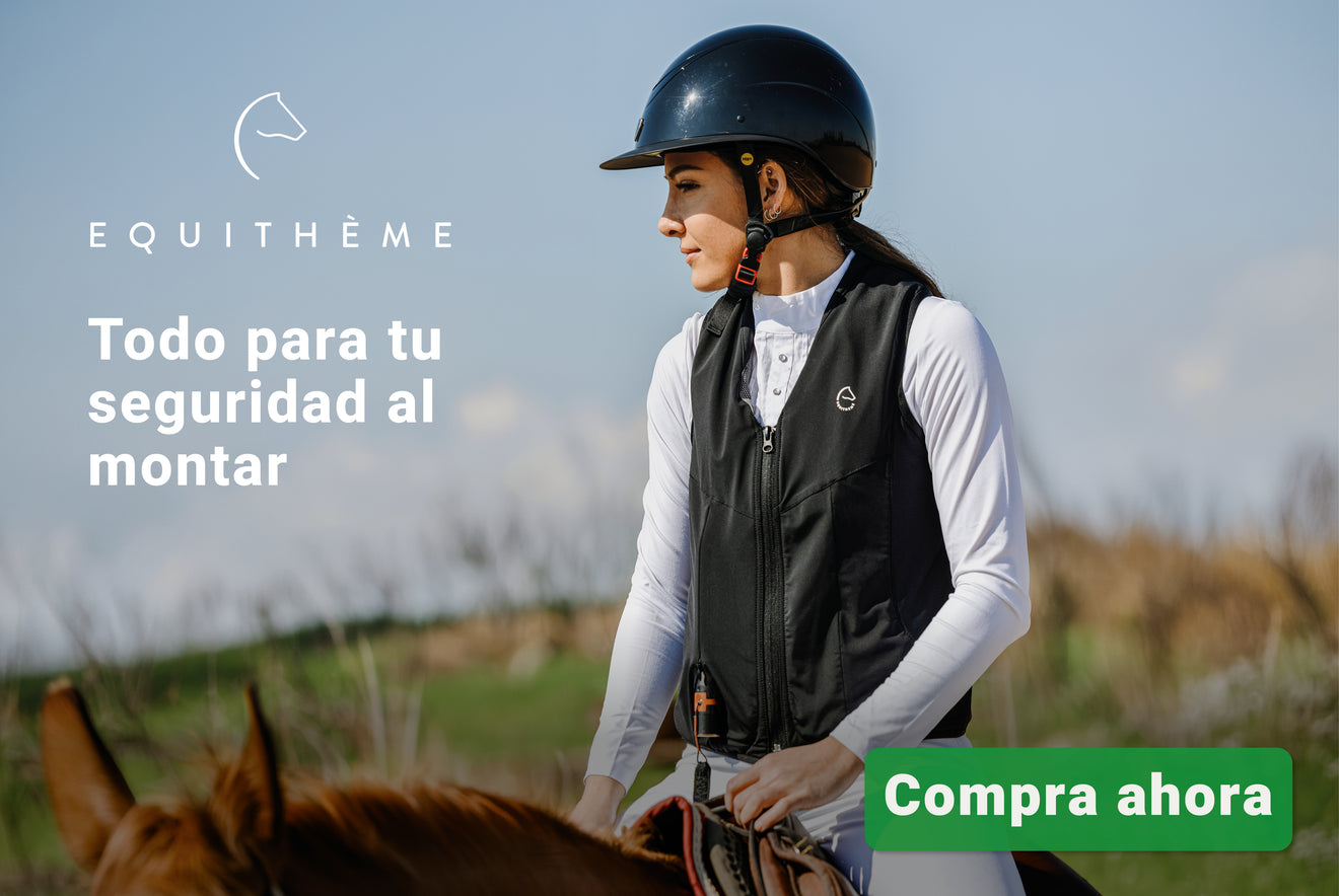 Equitheme veiligheid Equitheme veiligheid