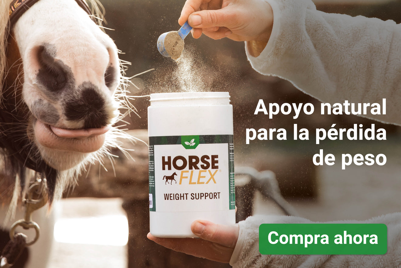 HorseFlex WeightSupport HorseFlex WeightSupport