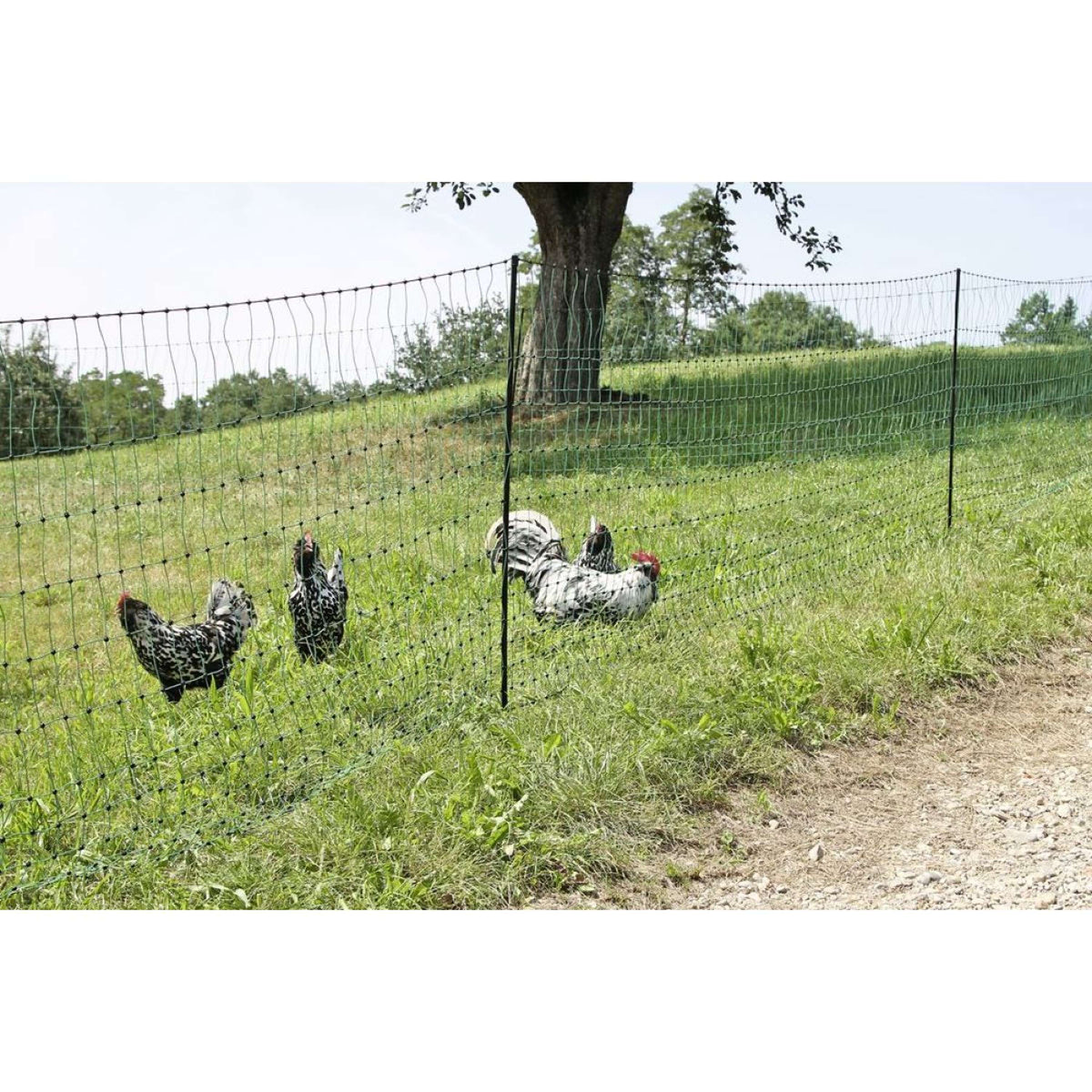 Kerbl Red Avícola Verde