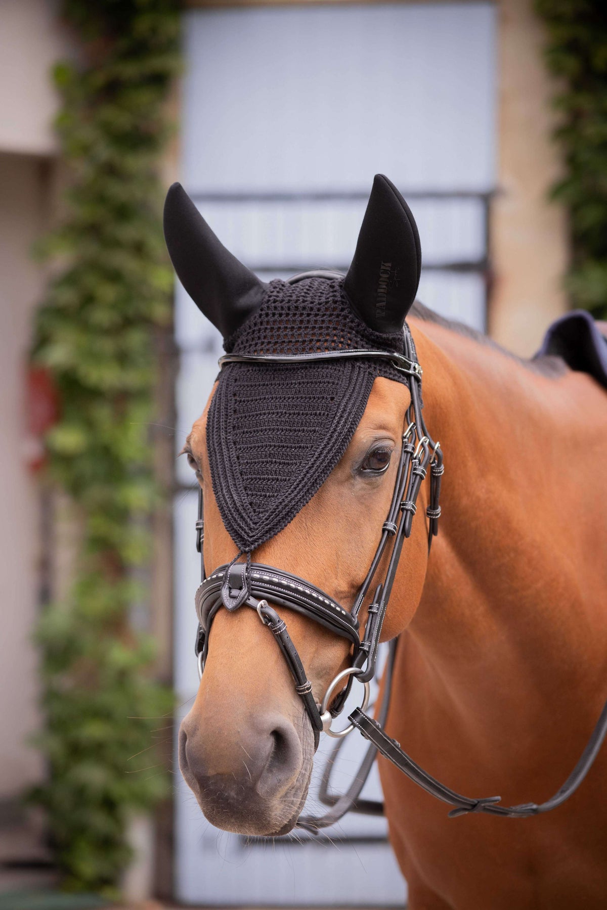 Paddock Bonete para Orejas Long Soundless Negro