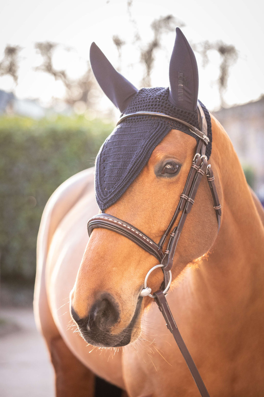 Paddock Bonete para Orejas Long Soundless Navy