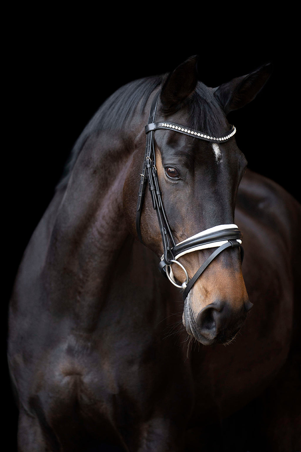 Imperial Riding Brida IRHFria Trens Negro/Blanco