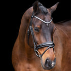 Imperial Riding Brida IRHOlympia Negro/Plata
