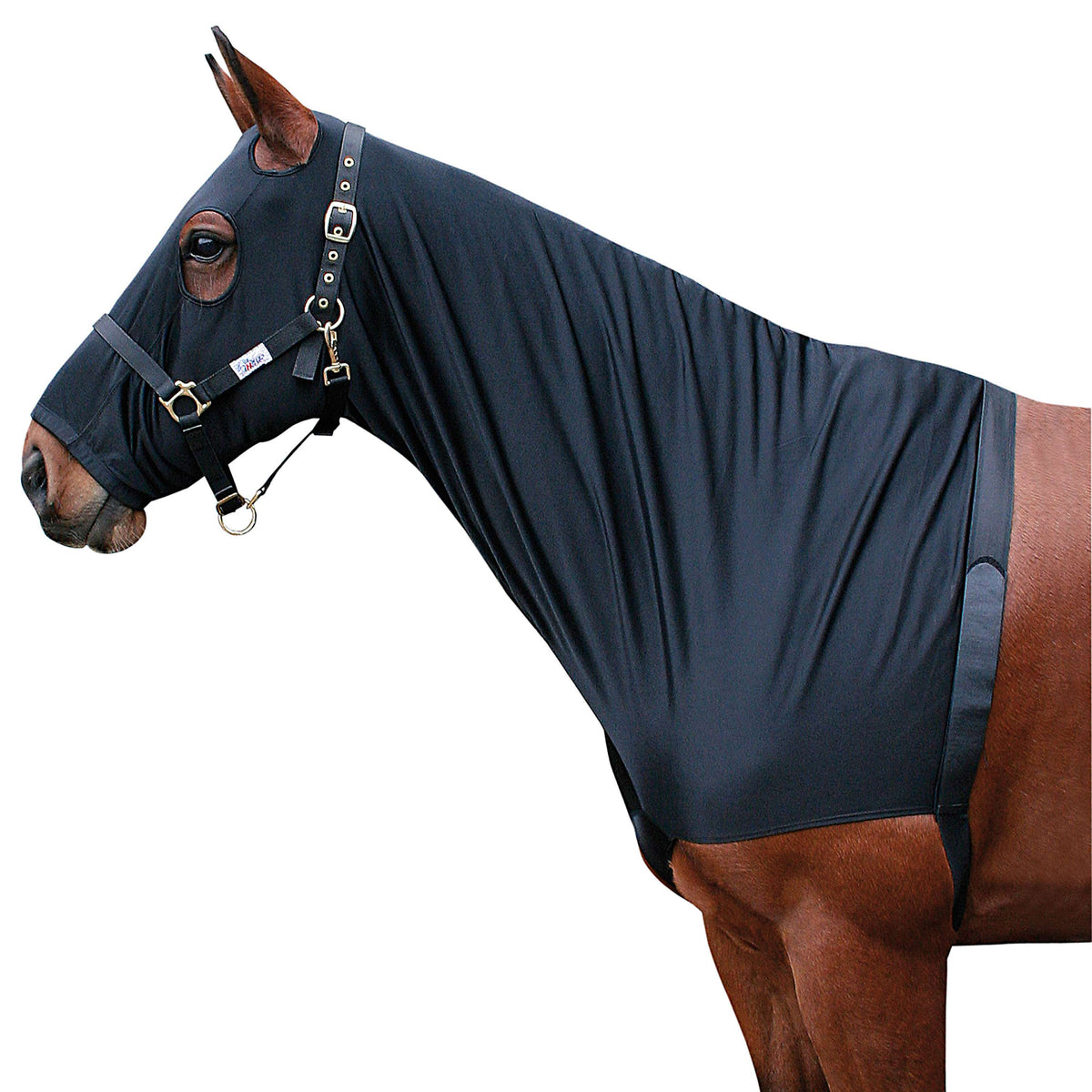 Harry's Horse Protector de Pecho Lycra con Capucha Negro
