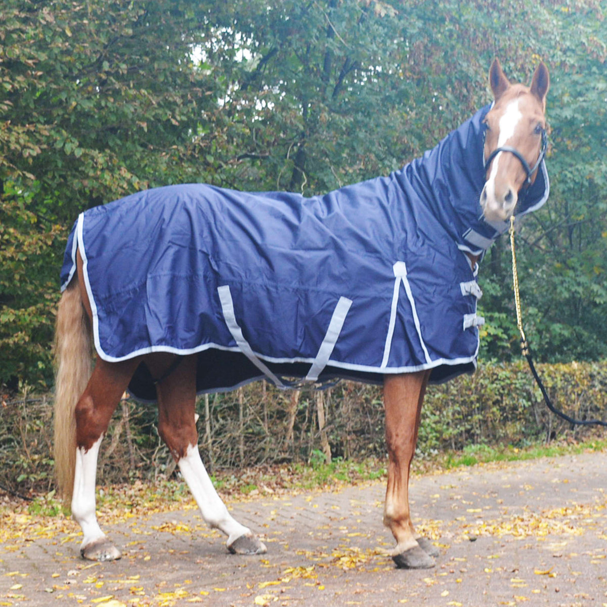 Premiere Manta Impermeable Ayc 600D 260g Fleece con Capucha Dress Blue