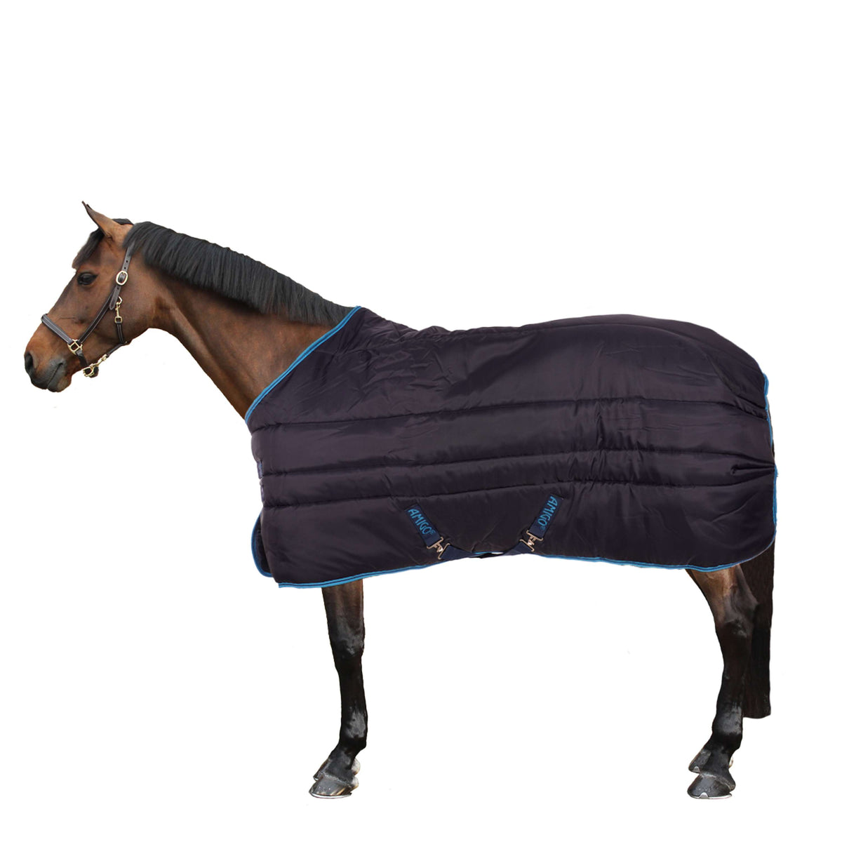 Amigo Manta de Establo Insolator 550g Plus Navy/Electric