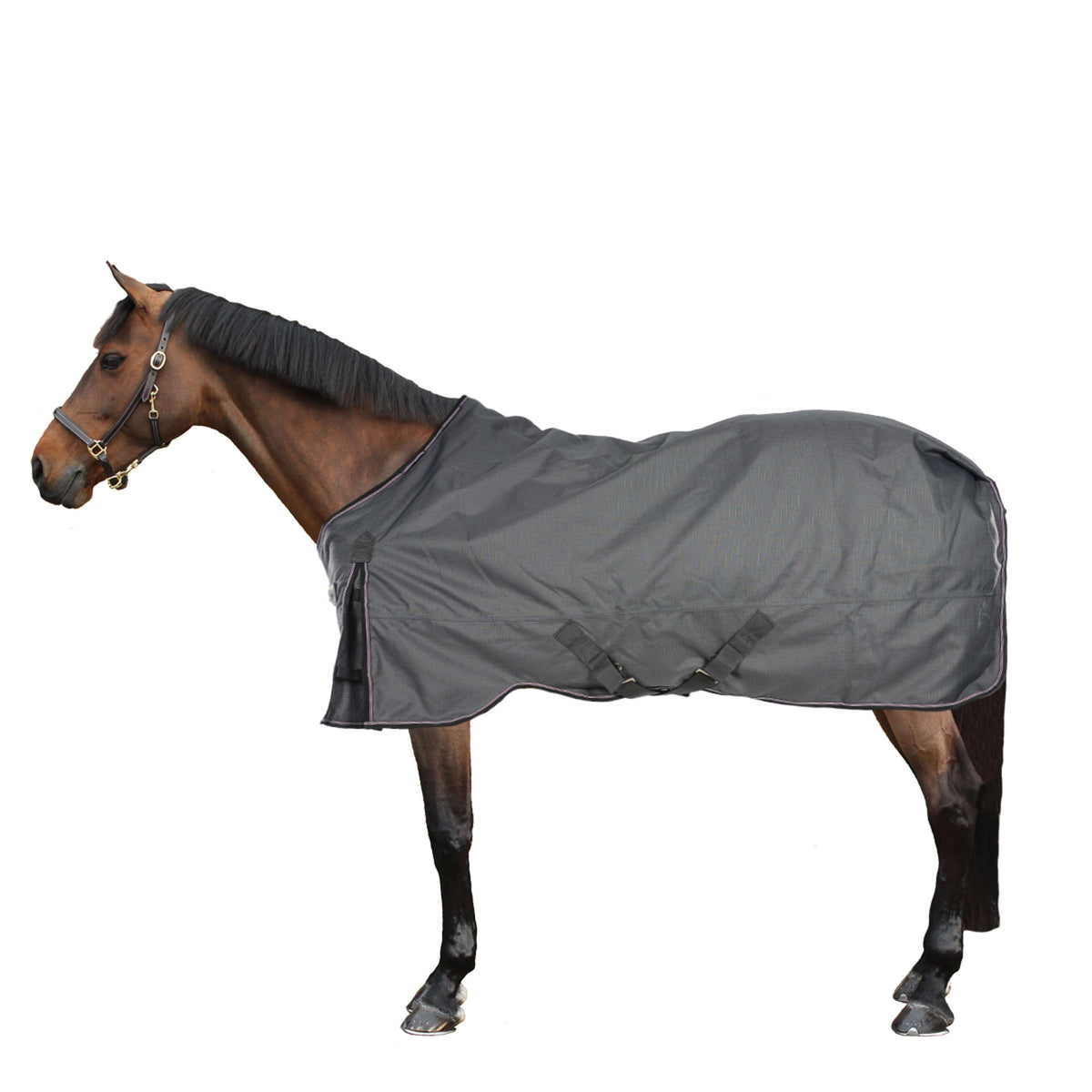 Kavalkade Alfombra de Exterior Alaska IV 300gr Gris