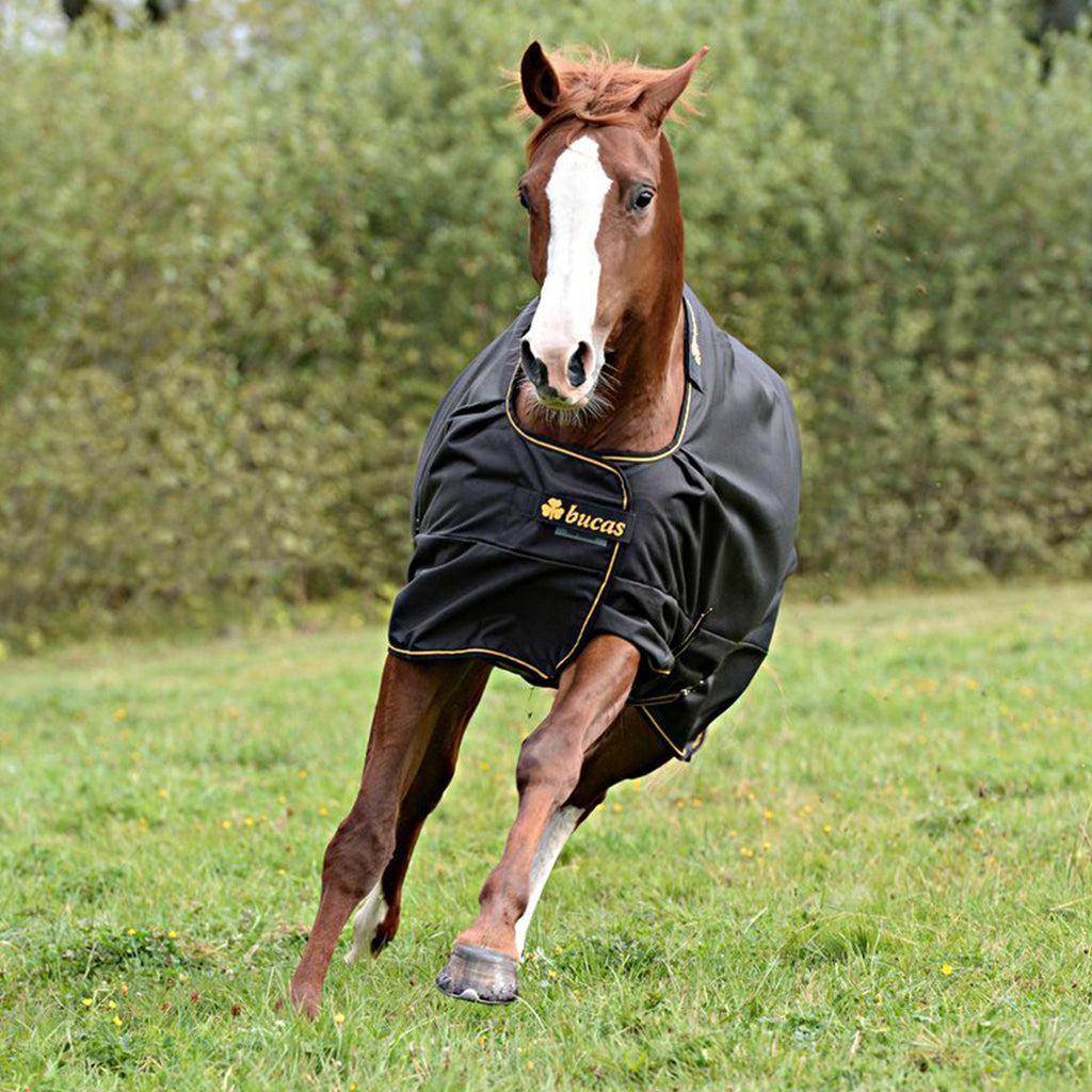 Bucas Irish Turnout Light 0g Negro/Oro