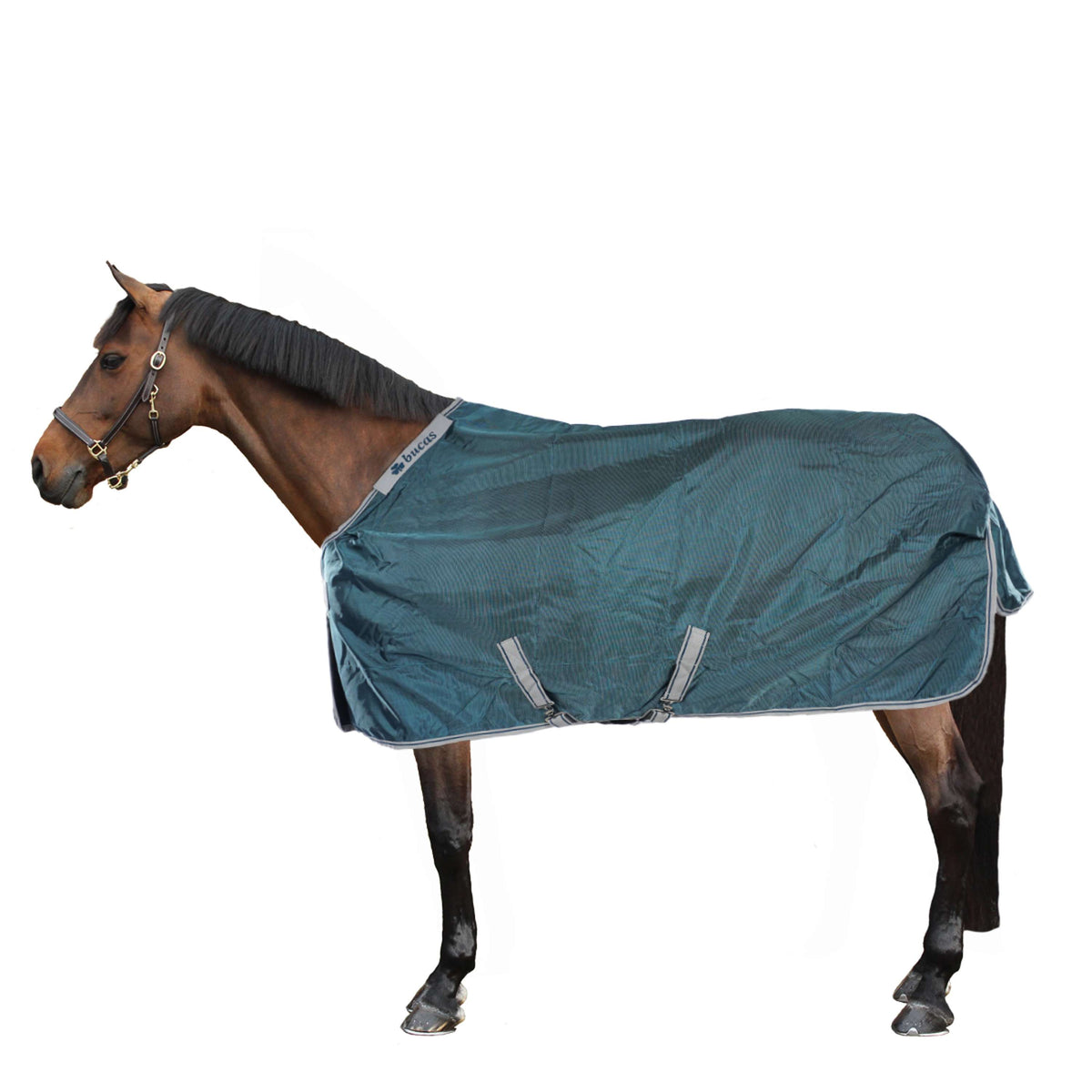 Bucas Atlantic Turnout 50g Verde