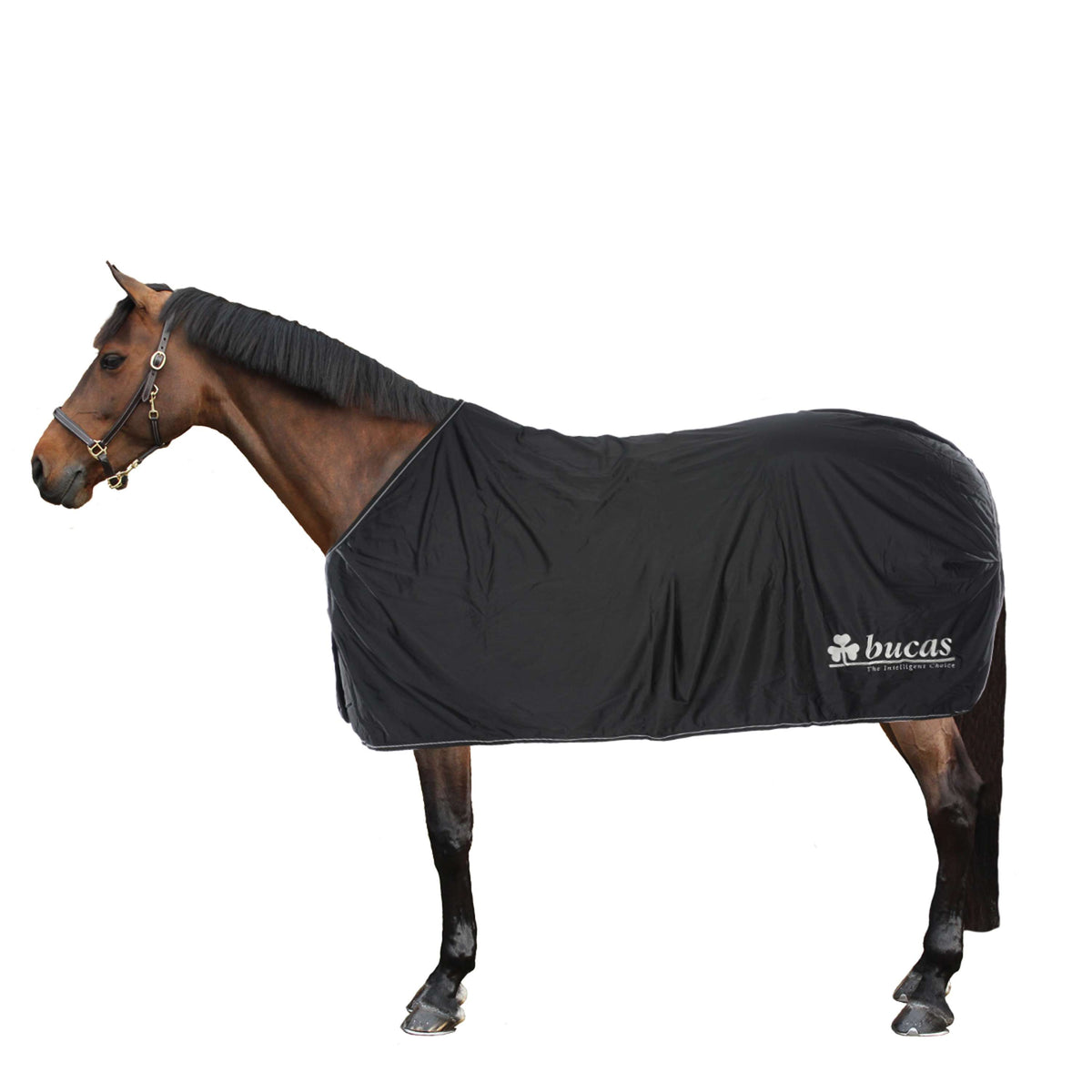 Bucas Panel Prize Cooler Black/Silver