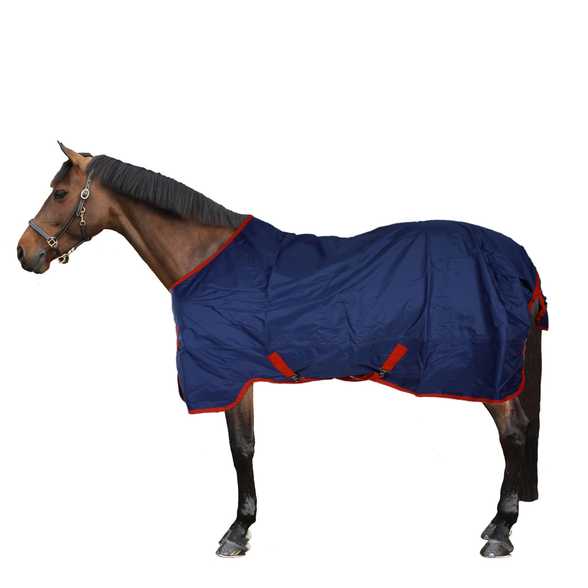Mio Turnout Lite Dark Blue/Red
