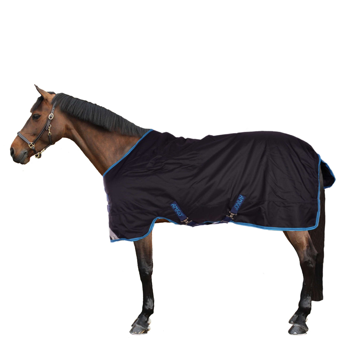 Amigo Bravo Pony Plus Mediana Azul marino/Azul electrico/Azul marino