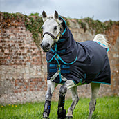 Amigo Bravo Pony Plus Mediana Azul marino/Azul electrico/Azul marino
