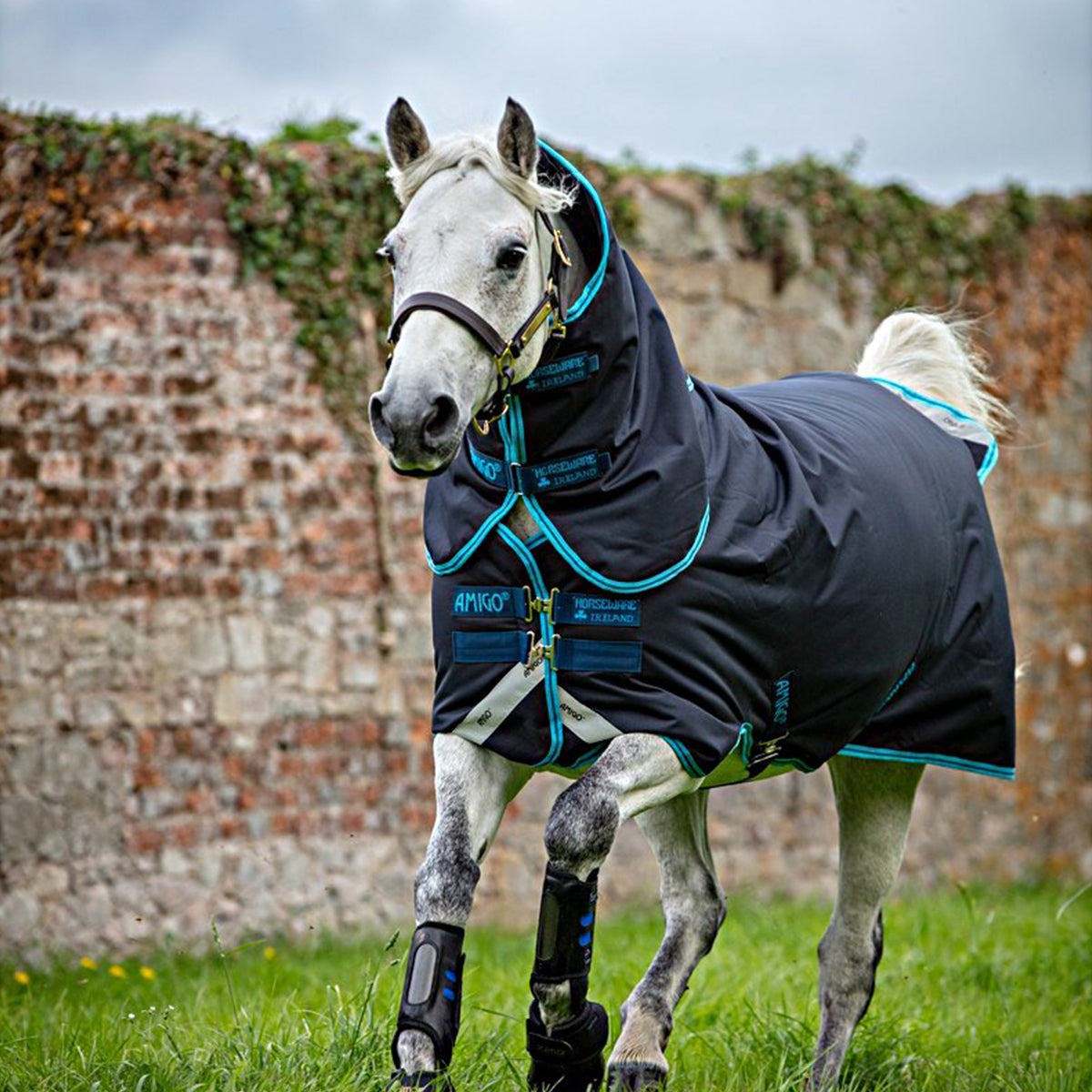 Amigo Bravo Pony Plus Mediana Azul marino/Azul electrico/Azul marino