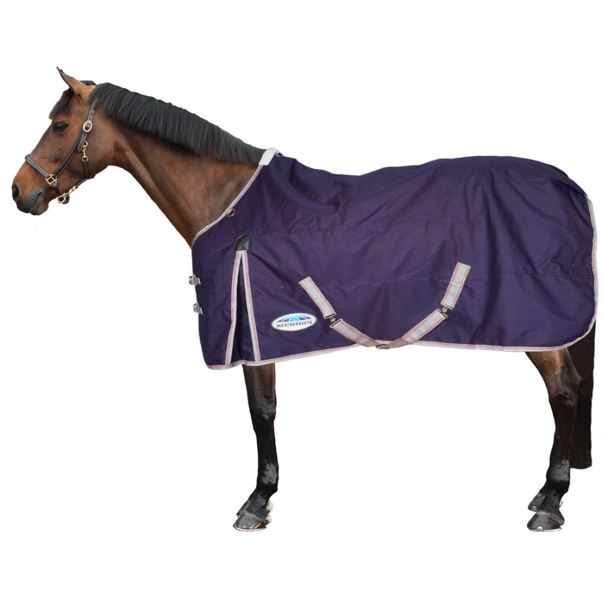 Weatherbeeta Lite Plus Participación Volver Comfitec Cuello estándar esencial Navy/Silver/Red