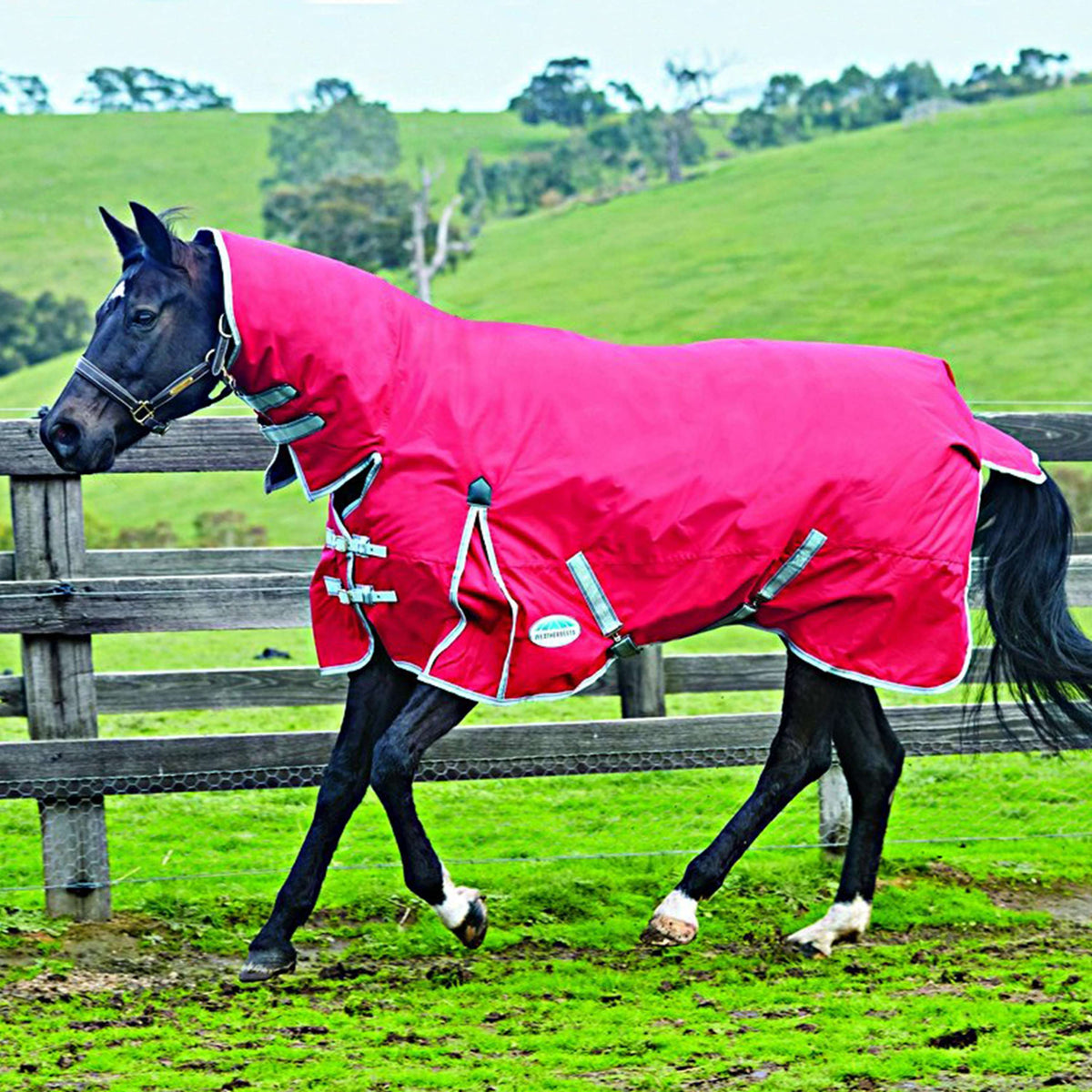 Weatherbeeta Cuello combinado con espalda descubierta pesada Comfitec Classic Red/Silver/Navy