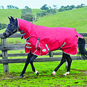 Weatherbeeta Cuello combinado con espalda descubierta pesada Comfitec Classic Red/Silver/Navy
