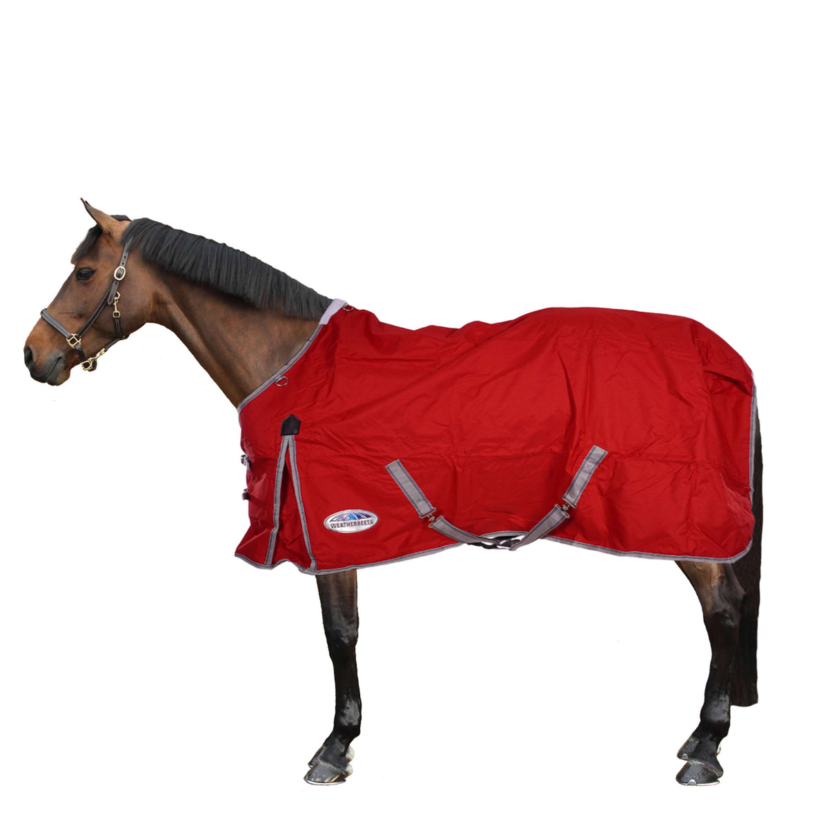 Weatherbeeta Participación Media Espalda Comfitec Cuello estándar clásico Red/Silver/Navy