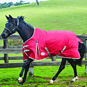 Weatherbeeta Participación Media Espalda Comfitec Cuello estándar clásico Red/Silver/Navy