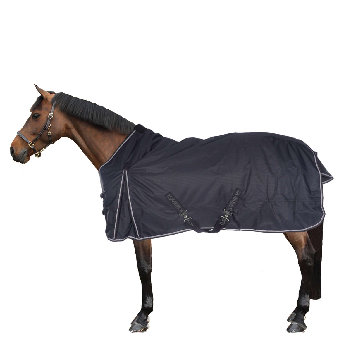 Eskadron Alfombra al aire libre Antidesgarro 150g Dark Navy