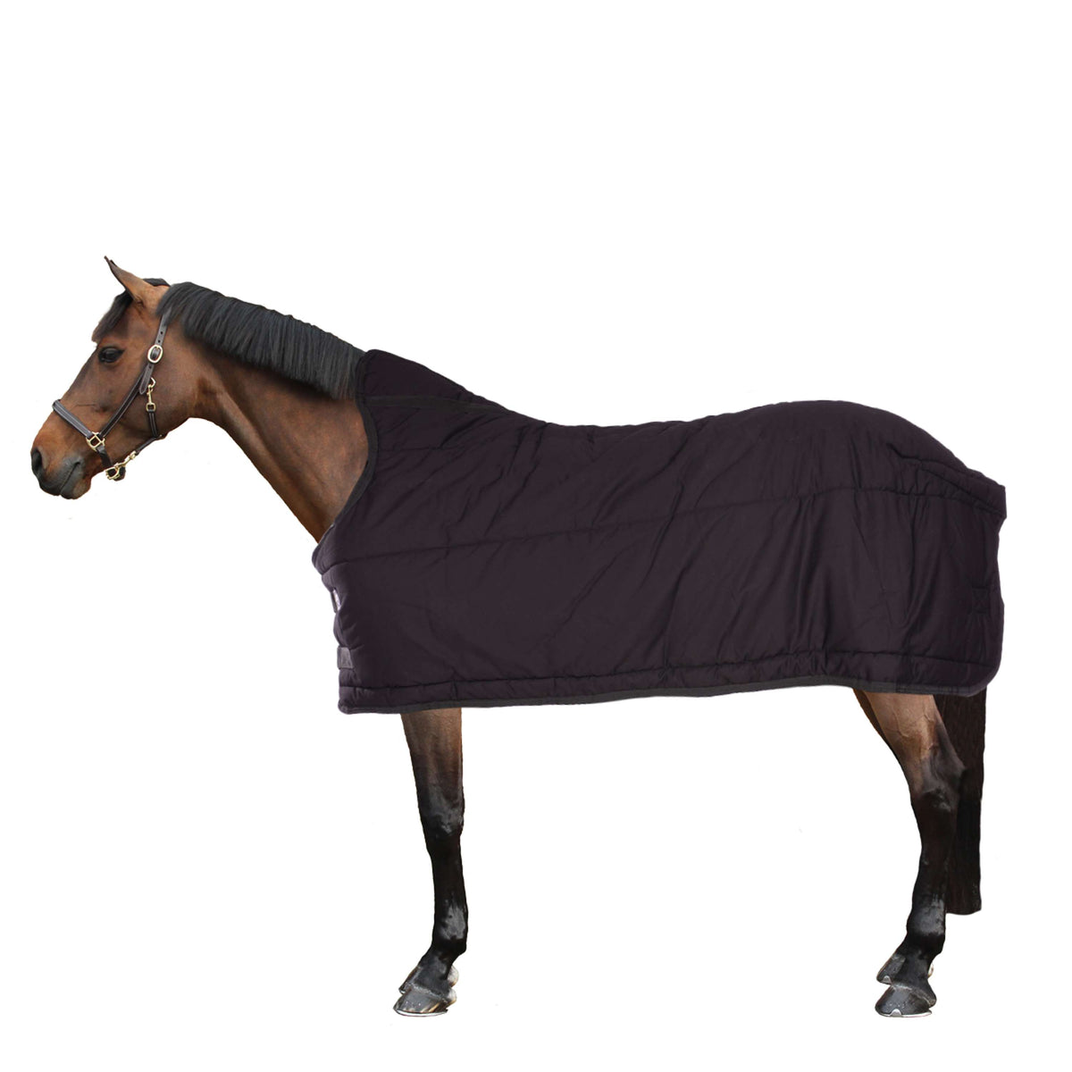 Eskadron Bajoalfombra Algodón 240g Negro