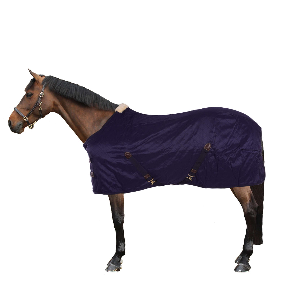 Kentucky Horsewear Manta de Establo 0g Navy