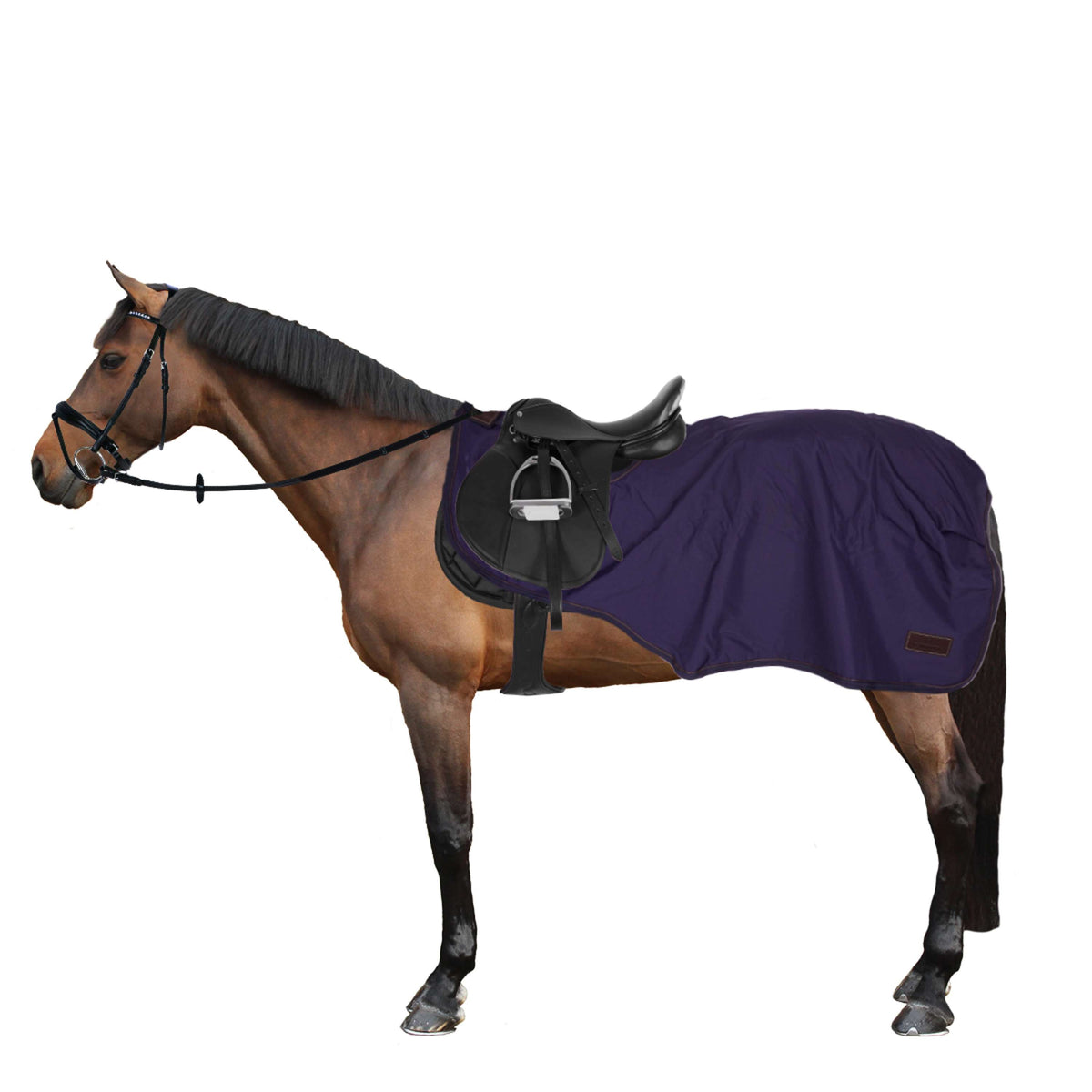 Kentucky Horsewear Manta de ejercicio Todo clima 160g Navy