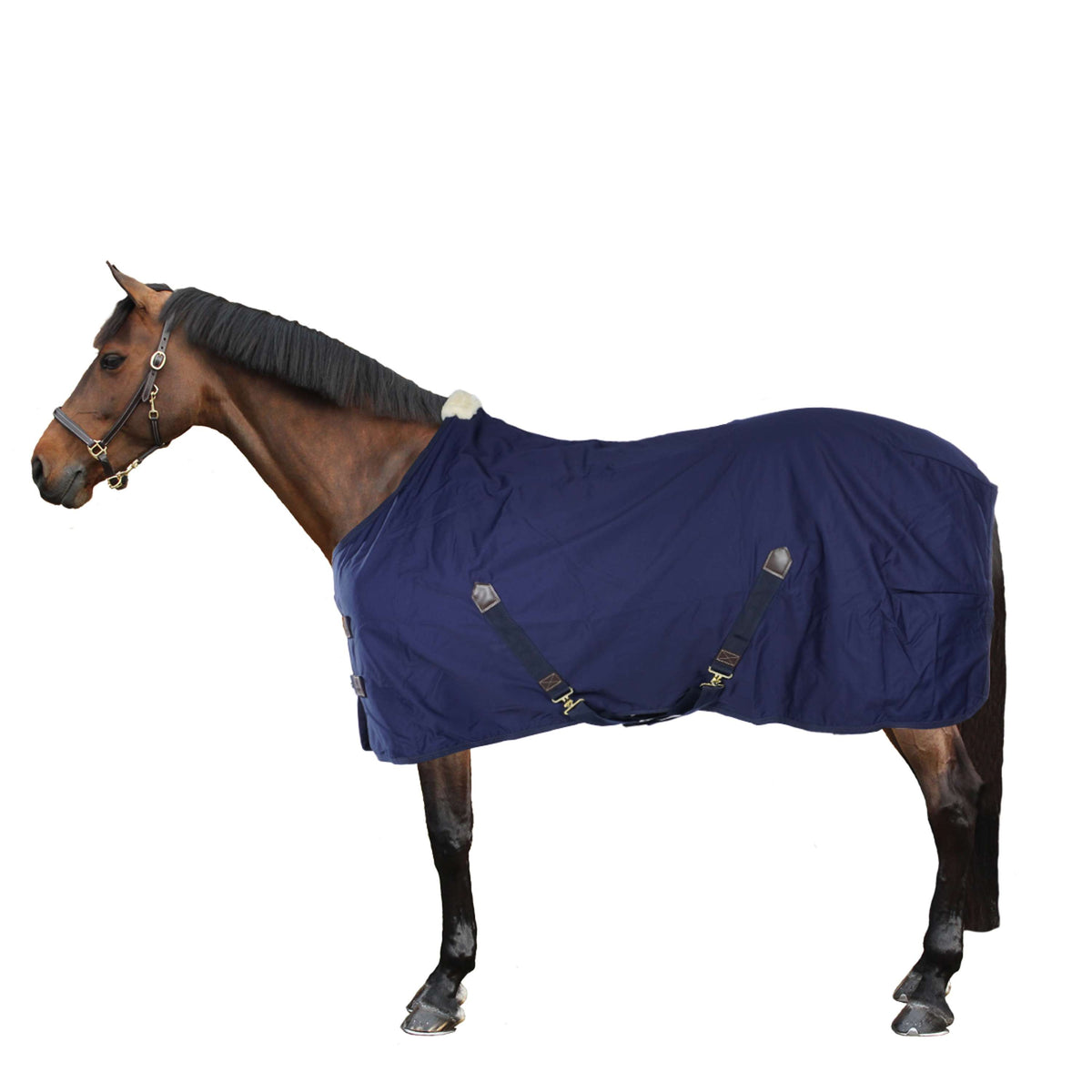 Kentucky Horsewear Manta de algodón Navy