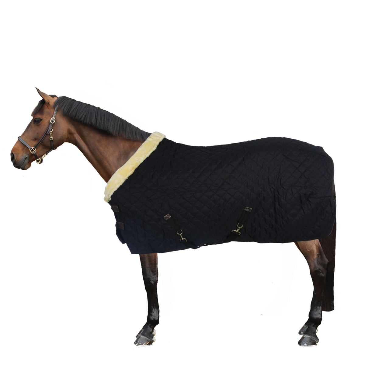 Kentucky Horsewear Manta de exhibición Negro/Natural