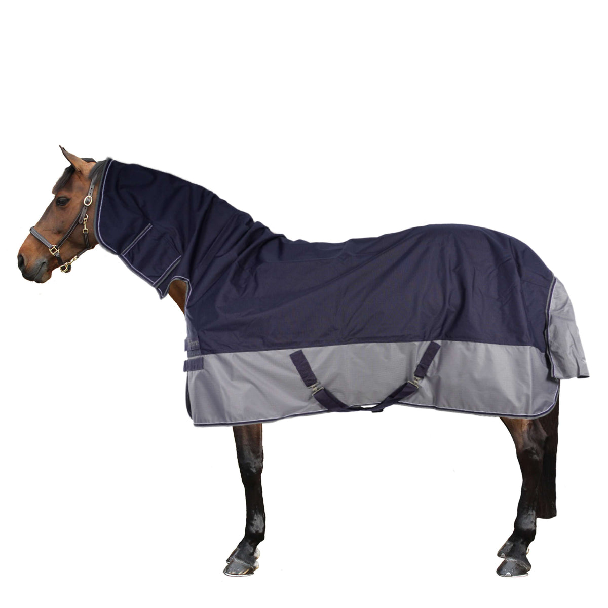 EQUITHÈME Turnout Rug Tyrex Combinado 600D 200g Marino/Gris Puntos