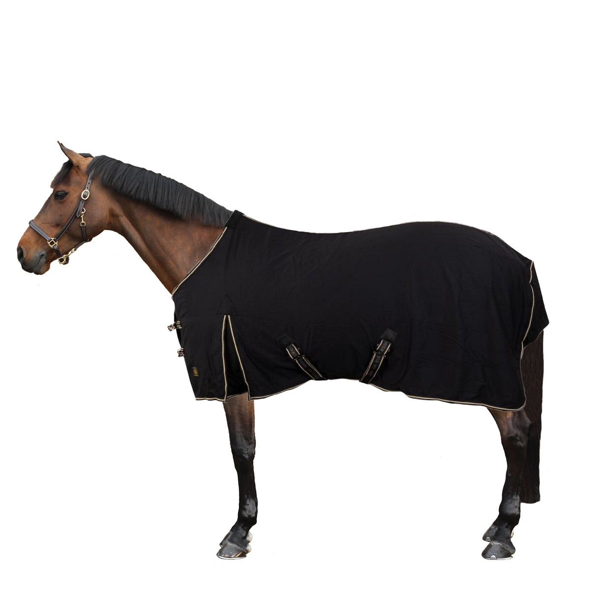 BR Alfombra Classic Algodón Negro