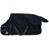 Premiere Alfombra de Exterior XS All Year 600D 200g Salute