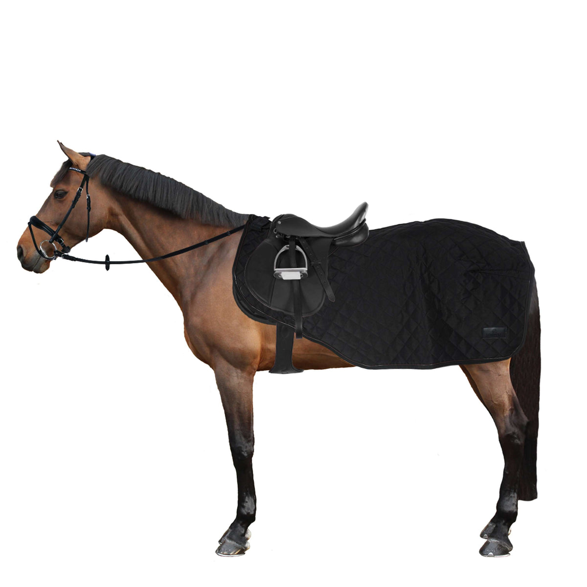 Kentucky Horsewear Manta de ejercicio 160g Negro