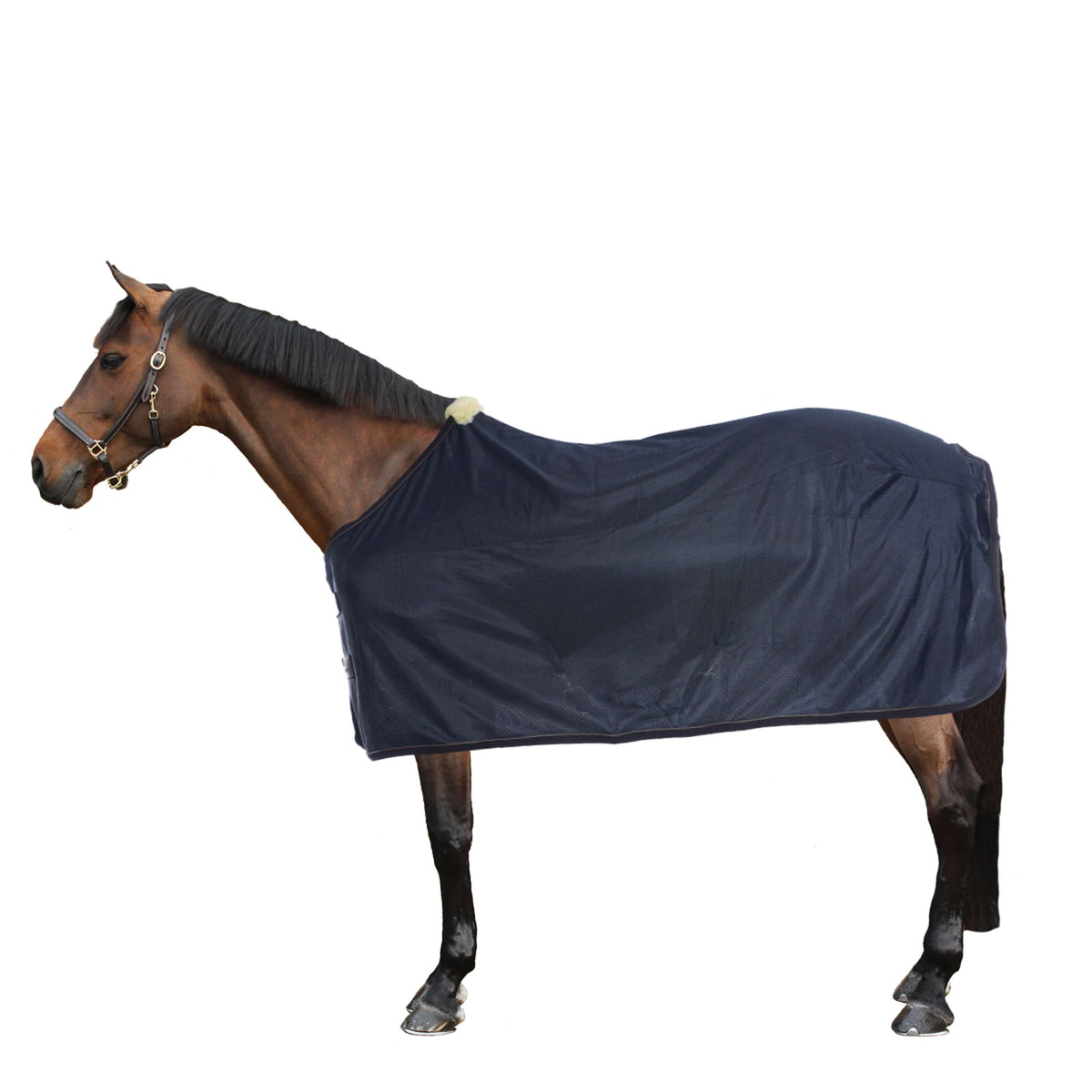 Kentucky Horsewear Manta Antimoscas Navy