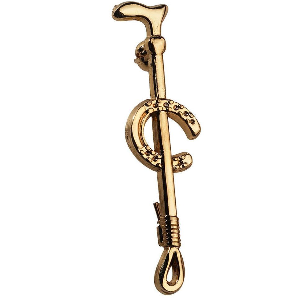 EQUITHÈME Alfiler de Plastrón Oro