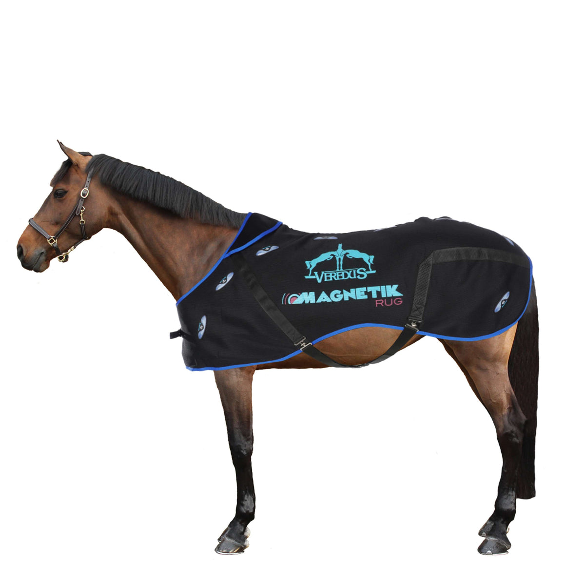 Veredus Manta Terapéutica Magnetik Rug Negro