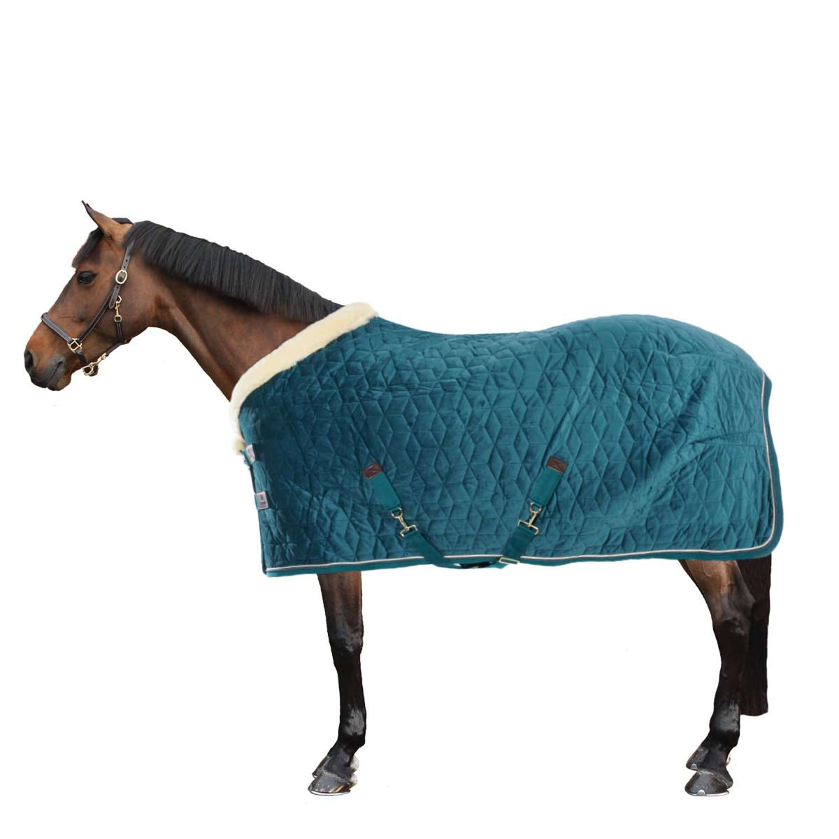 Kentucky Horsewear Manta de exhibición Velvet Esmeralda