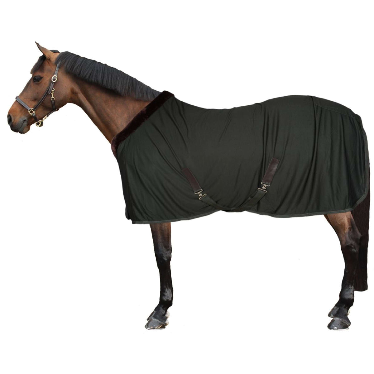EQUITHÈME Cooler Teddy Verde/Marron