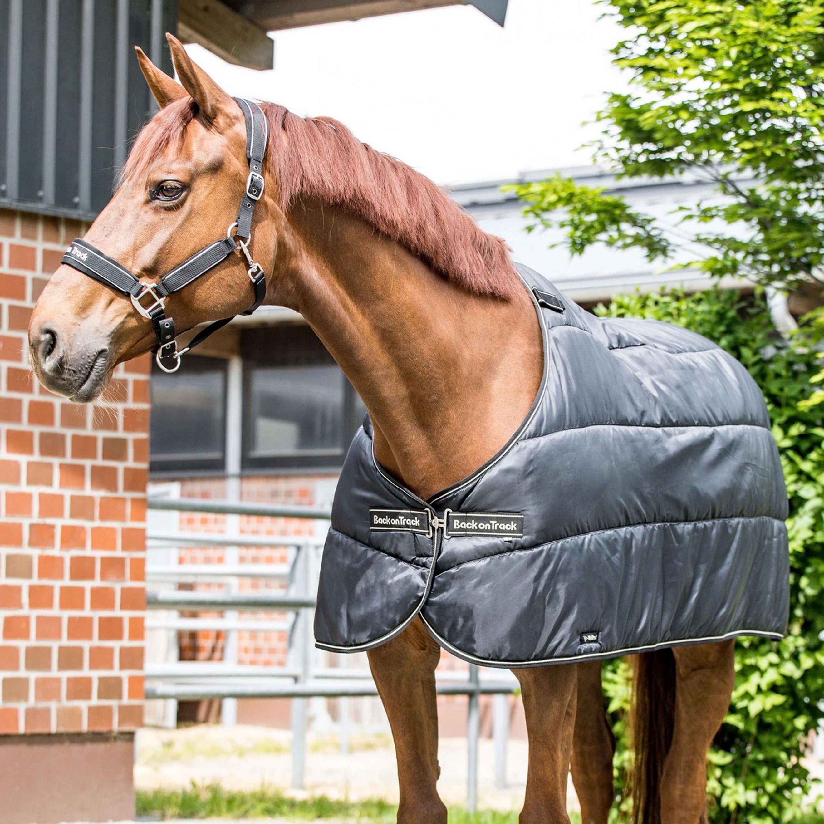 Back on Track Bajoalfombra Rhyolite Insulated Liner 200g Negro Back on Track Bajoalfombra Rhyolite Insulated Liner 200g Negro