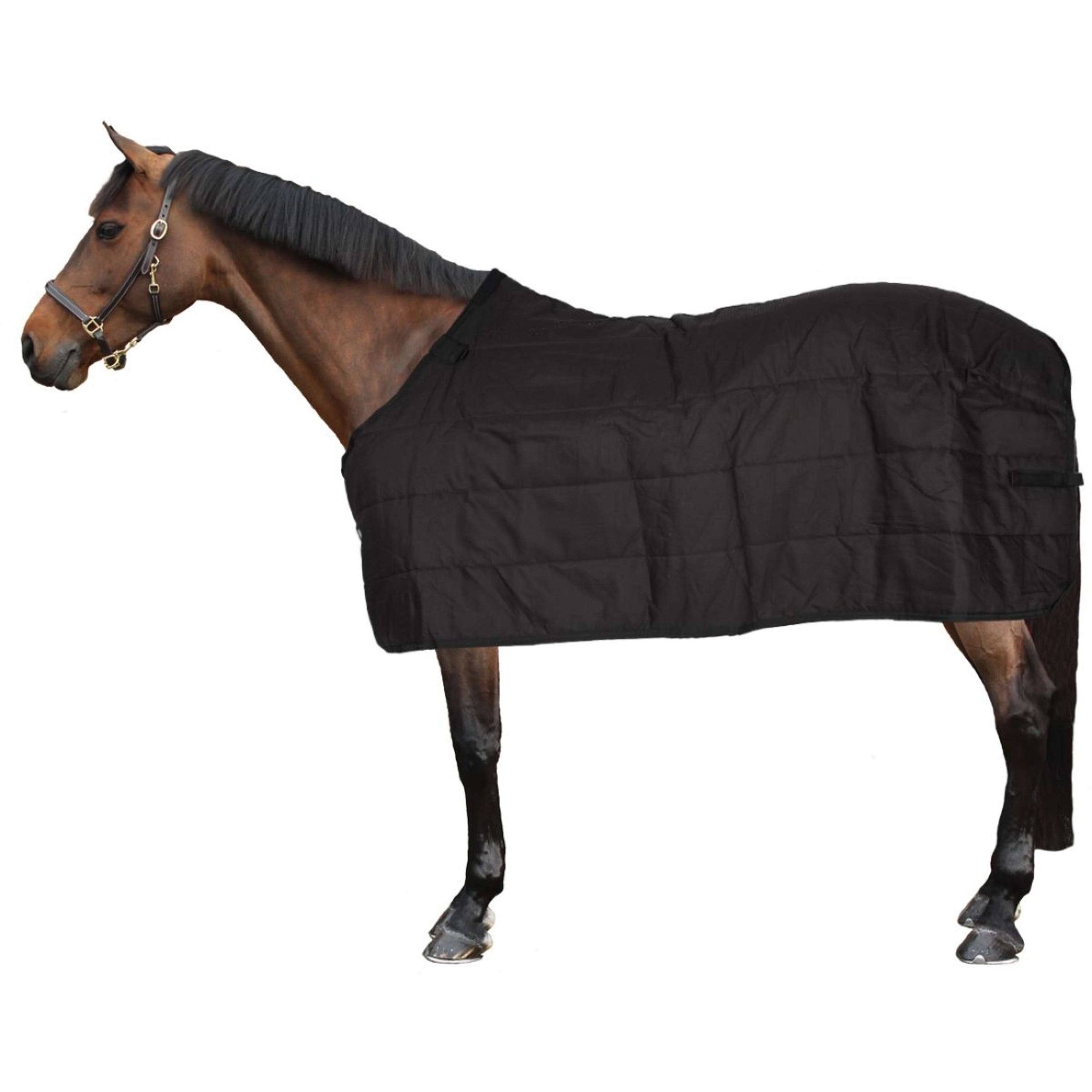 Waldhausen Bajoalfombra Thermo 100g Negro Waldhausen Bajoalfombra Thermo 100g Negro