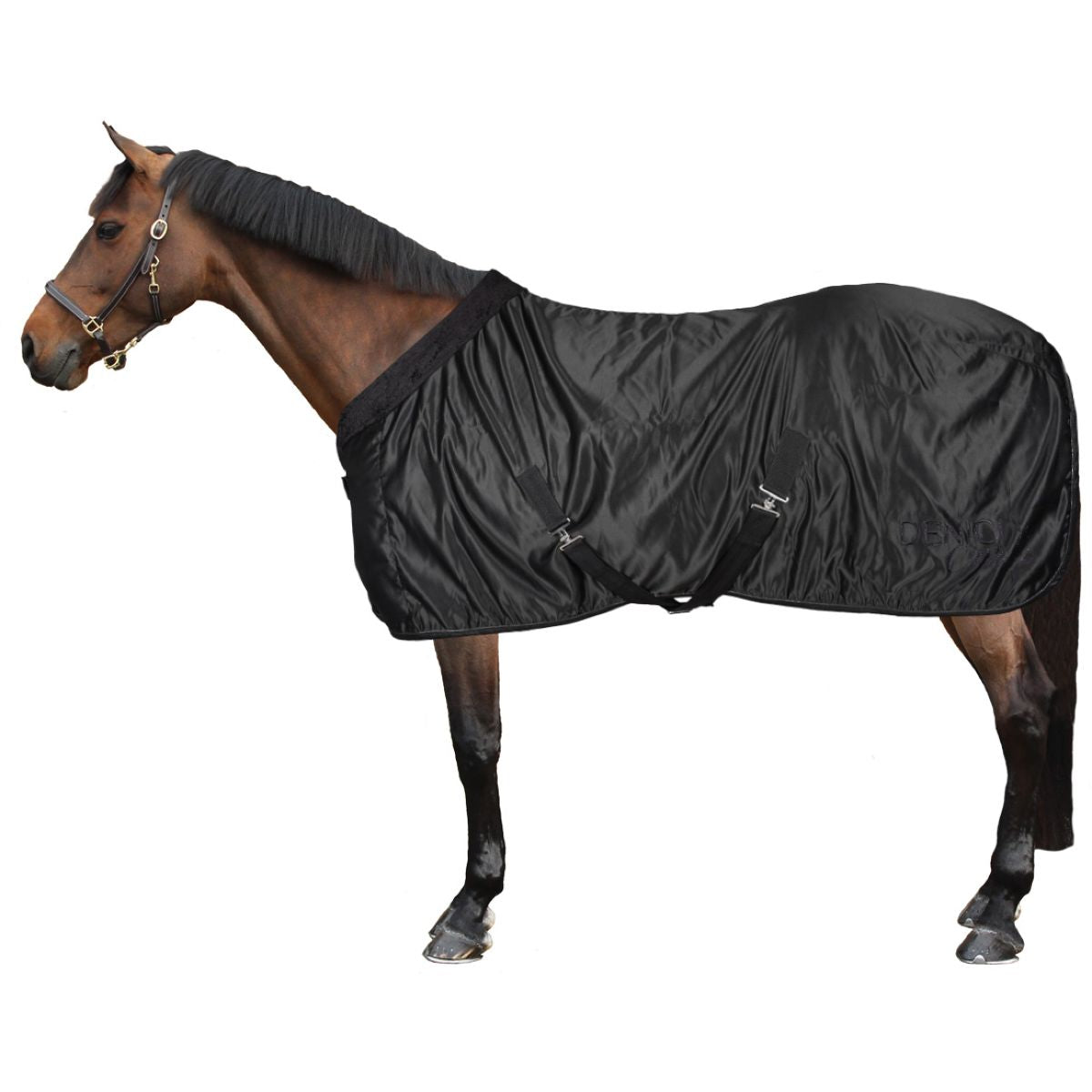 Harry's Horse Manta de exhibición Denici Cavalli Amethyst Negro