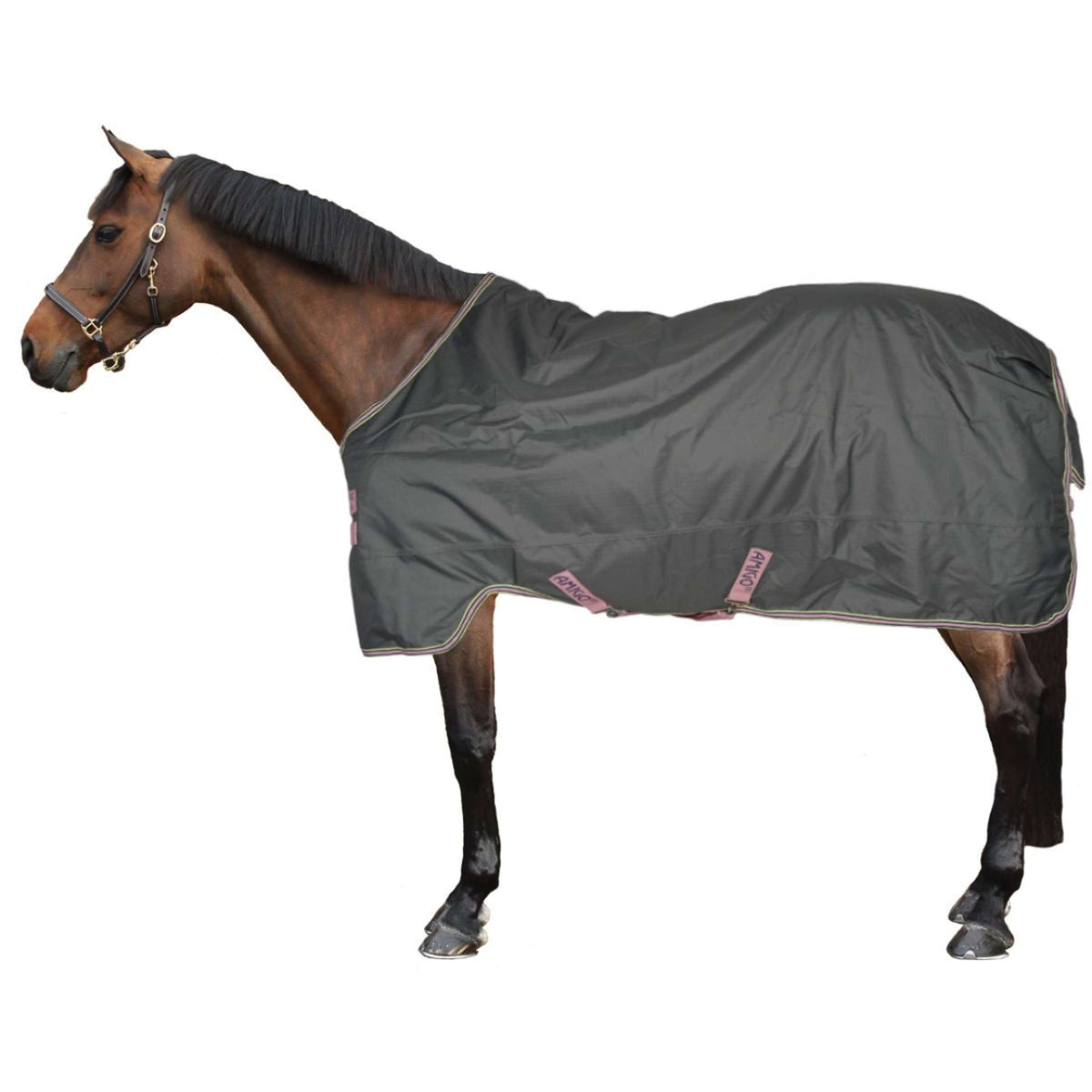 Amigo by Horseware Hero Ripstop Lite 0g Shadow/Rose/Navy