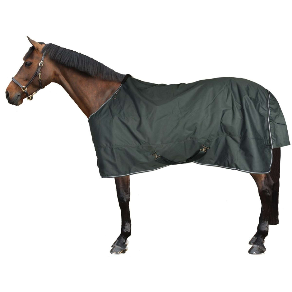EQUITHÈME Alfombra de Exterior 600D Standard 300g Verde