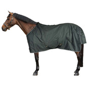 EQUITHÈME Alfombra de Exterior 600D Standard 300g Verde