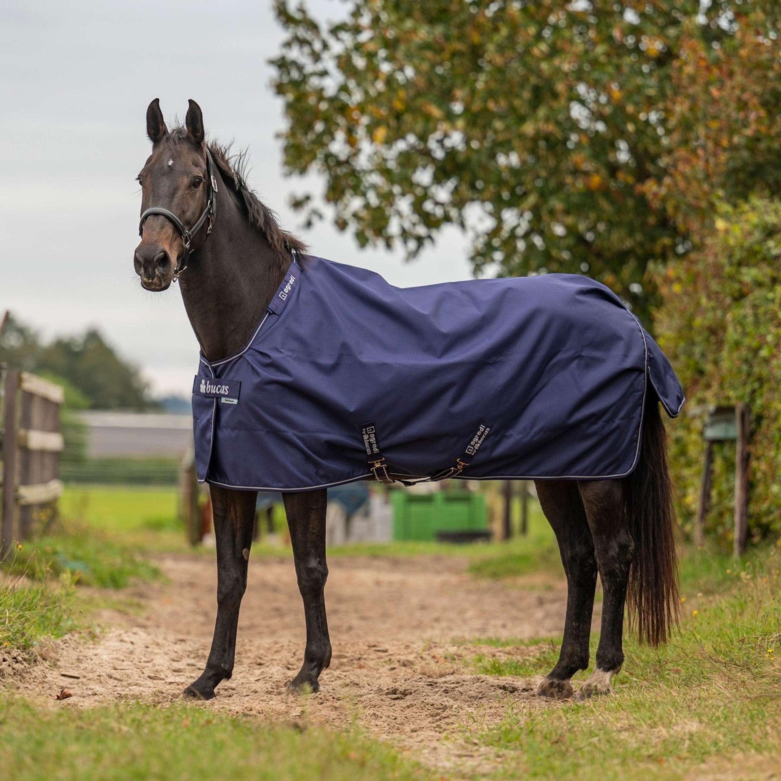 Agradi by Bucas Turnout Rug Marino/Plata
