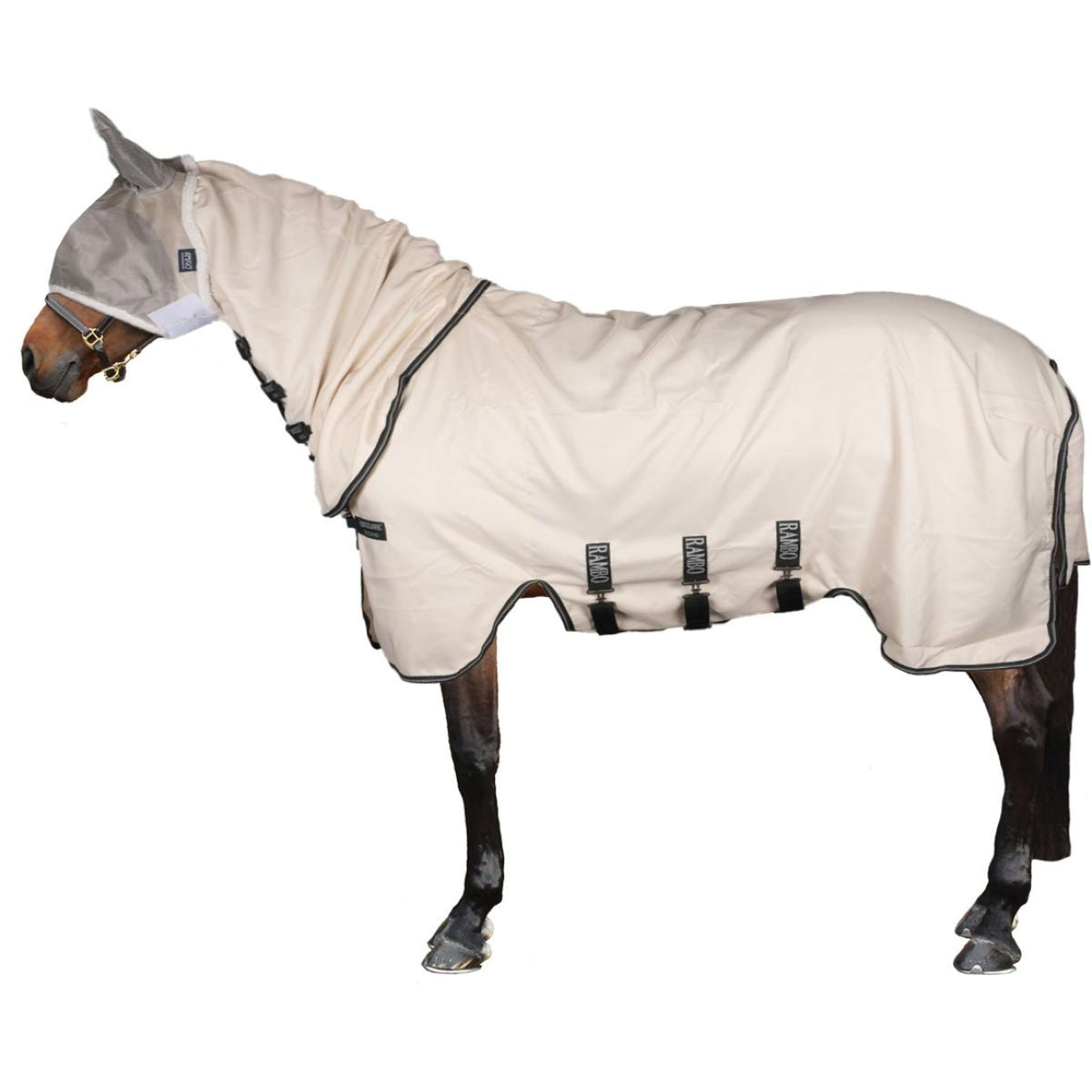 Rambo Hoody Pony Tiza/Verde cazador/Plata