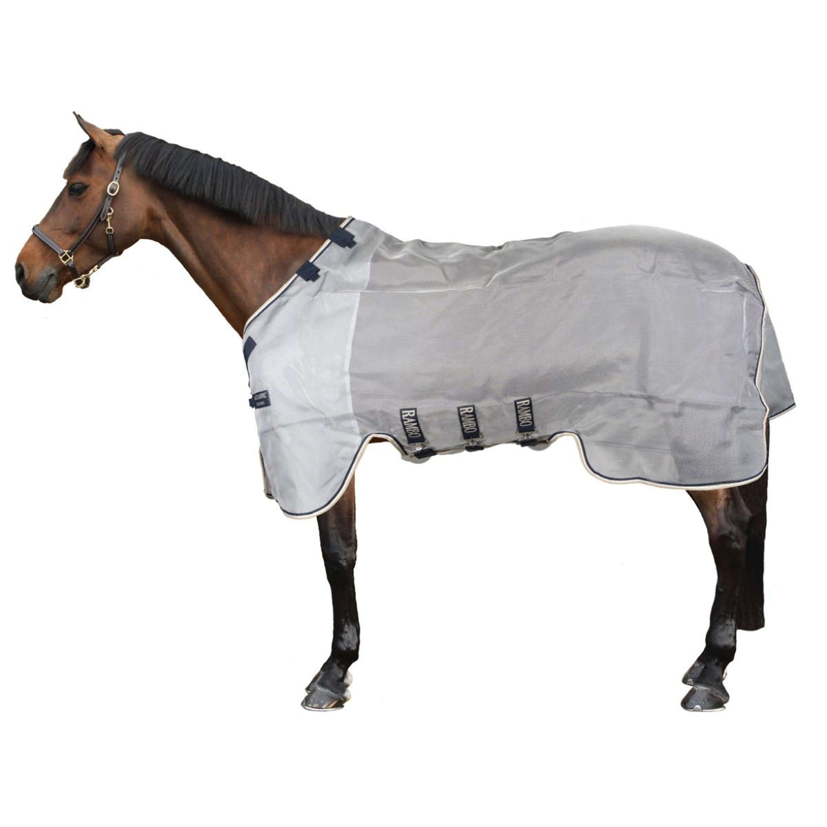 Rambo Protector Plata/Azul marino/Blanco/Beige