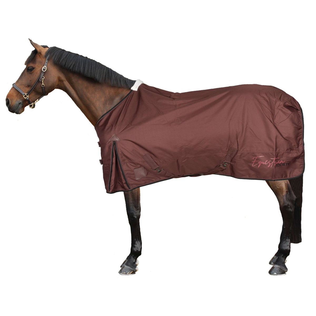 Harry's Horse Manta Impermeable Thor WI25 Fleece 0gr Spiced Apple